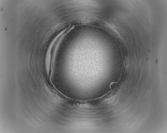 X0000088730645200706141639