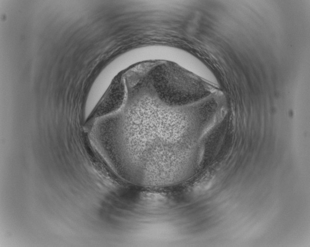 X0000088730649200706141639