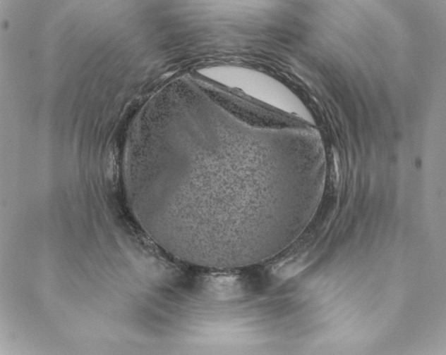 X0000088730651200706141639