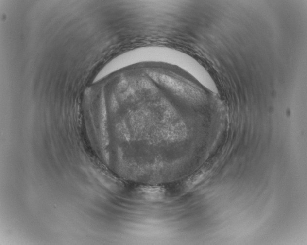 X0000088730659200706141639