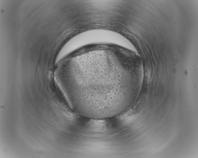 X0000088730665200706141639