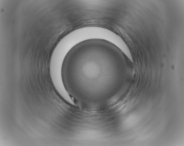 X0000088730669200706141639