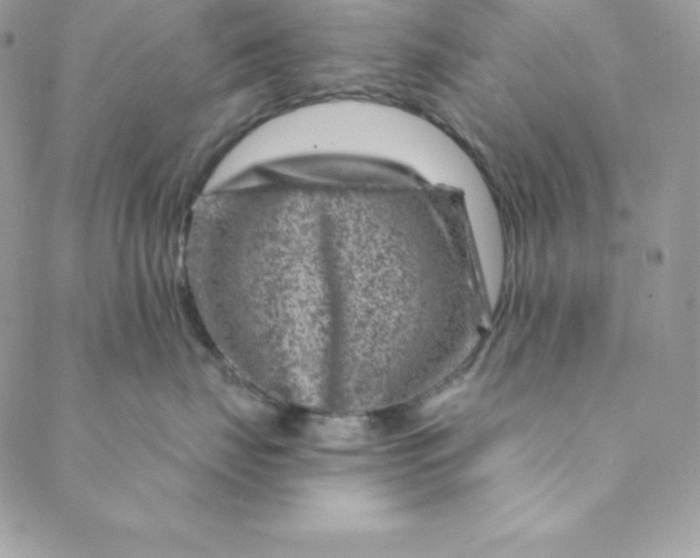 X0000088730671200706141639
