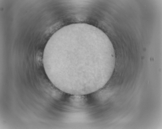 X0000088730672200706141639