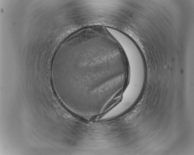 X0000088730673200706141639