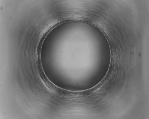 X0000088730674200706141639