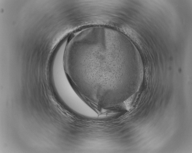 X0000088730676200706141639