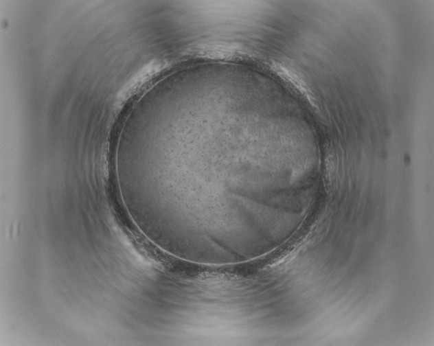 X0000088730682200706141639