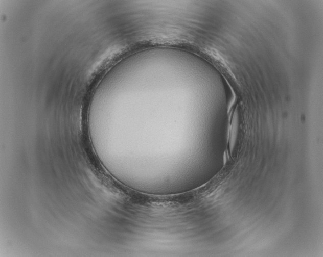 X0000088730686200706141638