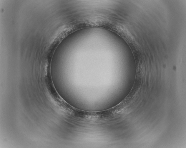 X0000088730694200706141638