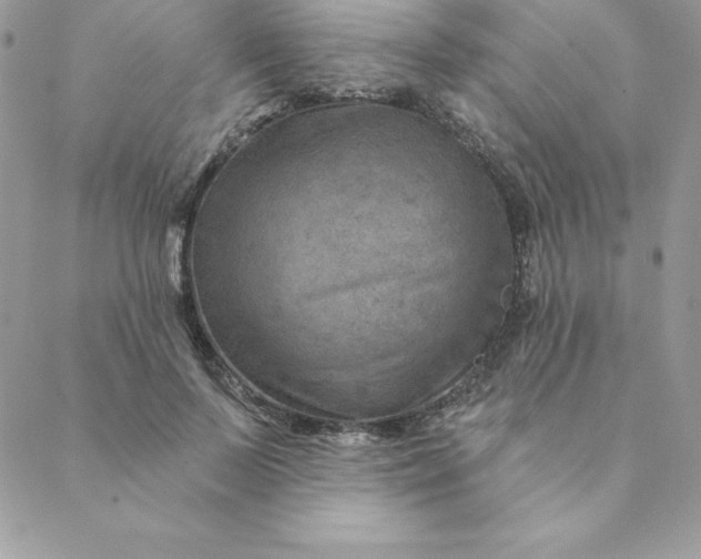 X0000088730695200706141638