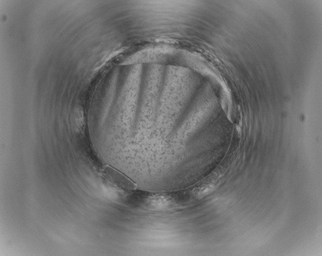 X0000088730704200706141638