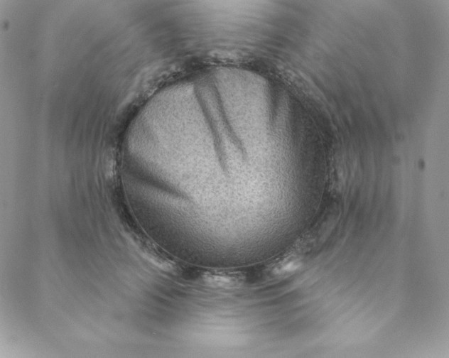 X0000088730706200706141638