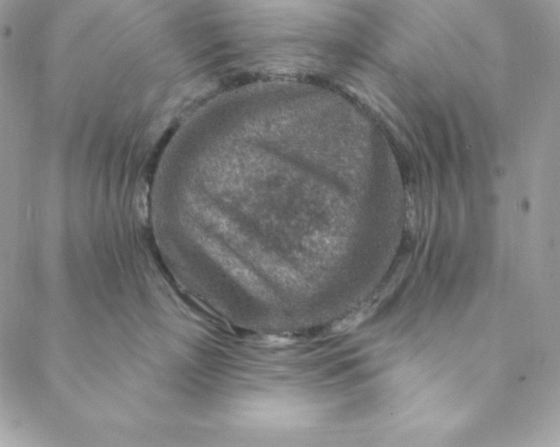 X0000088730718200706141638