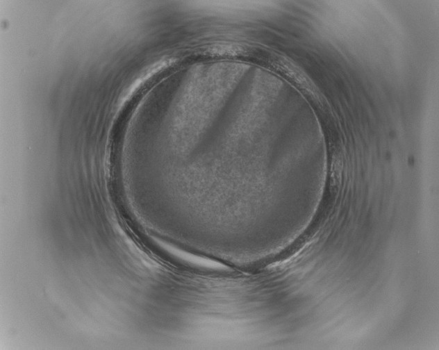 X0000088730722200706141637