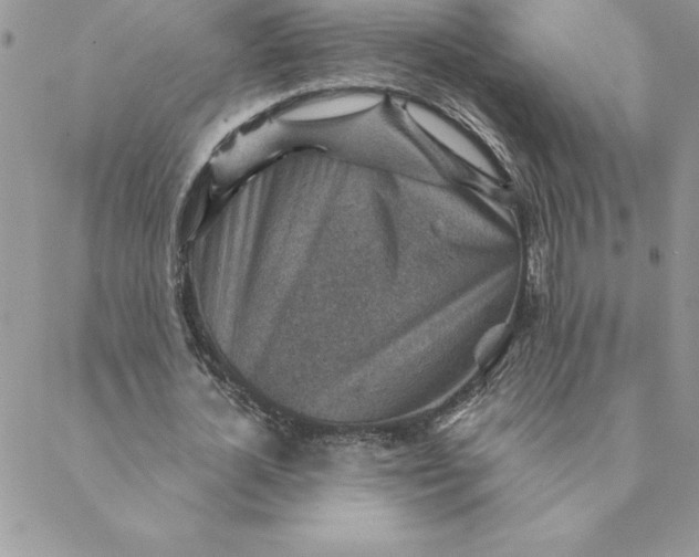 X0000088730724200706141637