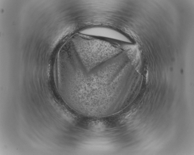 X0000088730735200706141637