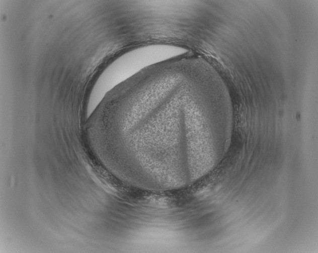 X0000088730742200706141637