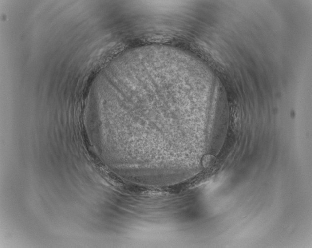 X0000088730745200706141638
