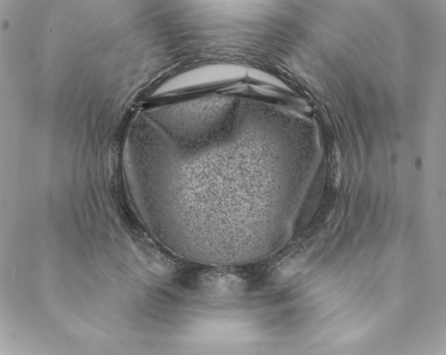 X0000088730747200706141638