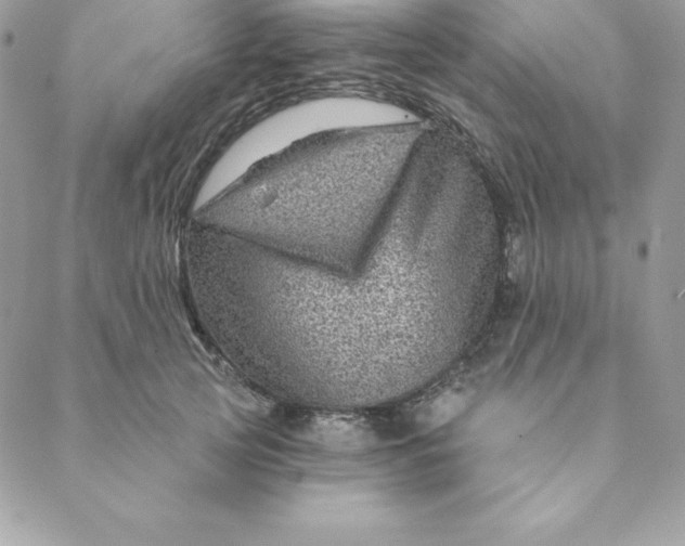 X0000088730753200706141638