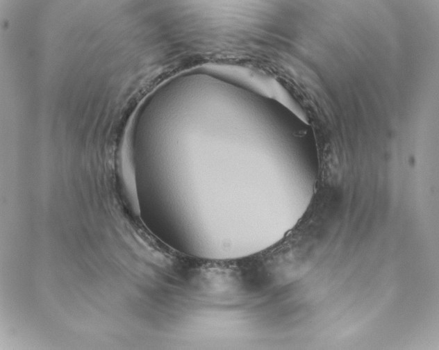 X0000088730756200706141638