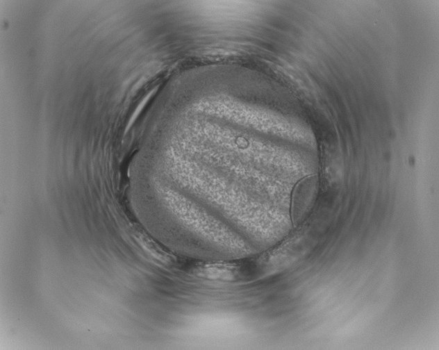 X0000088730758200706141638