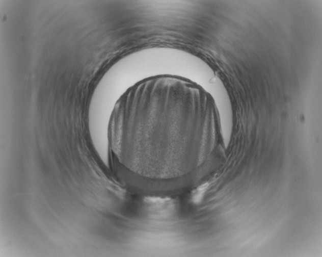 X0000088730759200706141638
