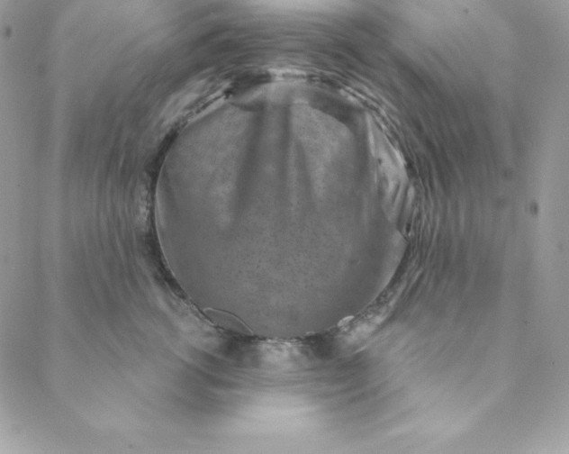X0000088730762200706141638