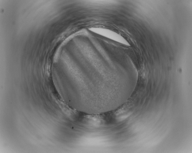 X0000088730763200706141638