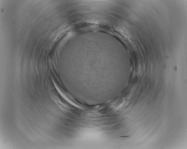X0000088730766200706141638