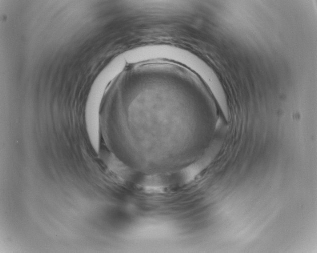 X0000088730767200706141638