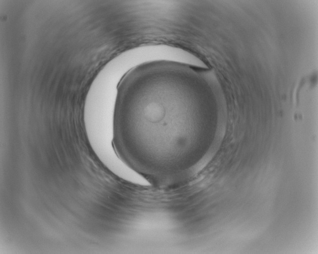 X0000088730768200706141638