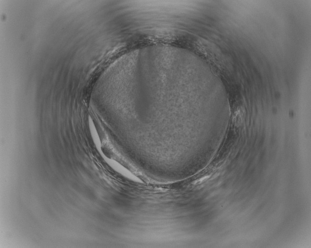 X0000088730772200706141637