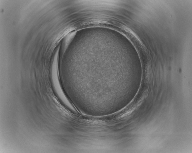 X0000088730785200706141637