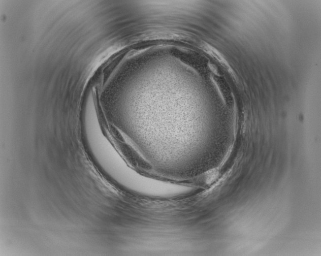 X0000088730786200706141637