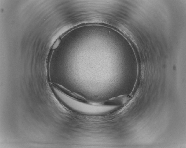 X0000088730789200706141637