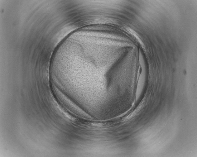 X0000088730794200706141637