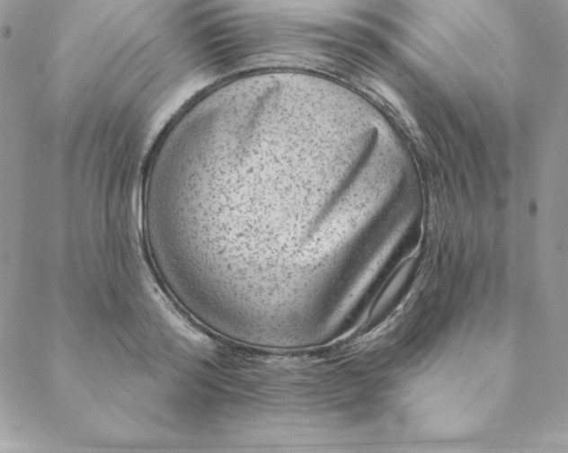 X0000088730796200706141637