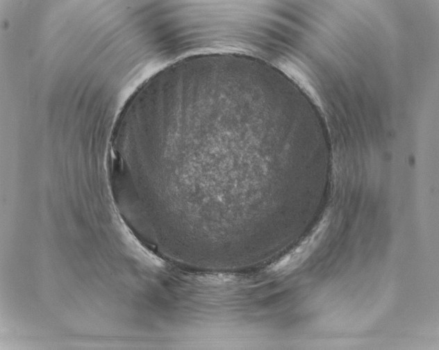X0000088730797200706141637