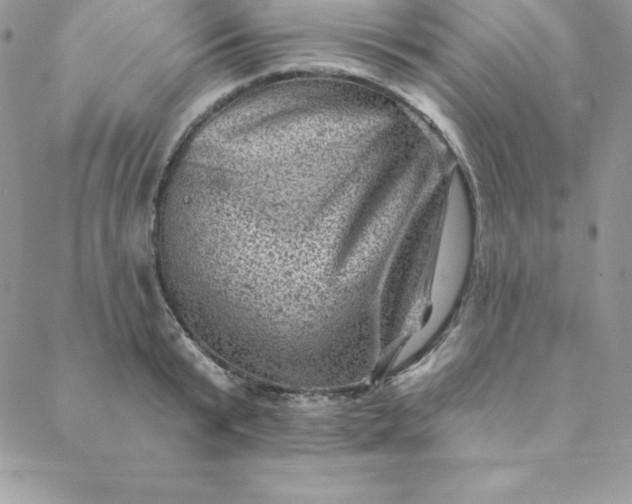 X0000088730799200706141637
