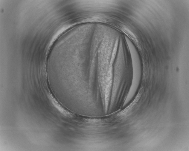 X0000088730800200706141637