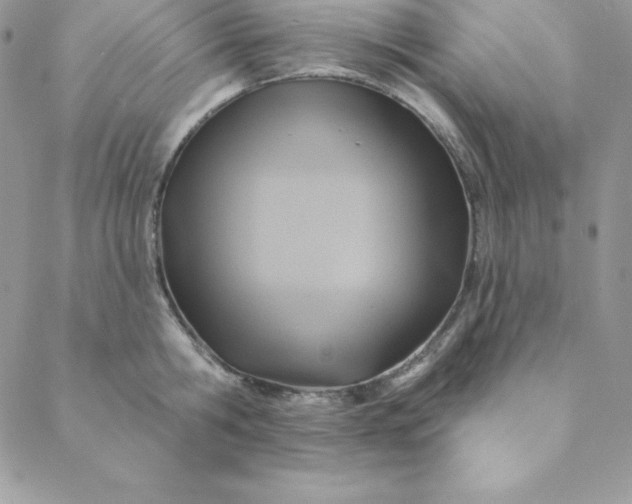X0000088730806200706141637