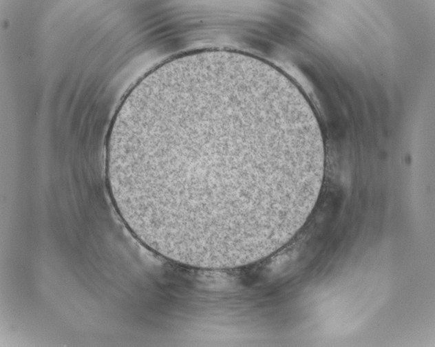 X0000088730807200706141637