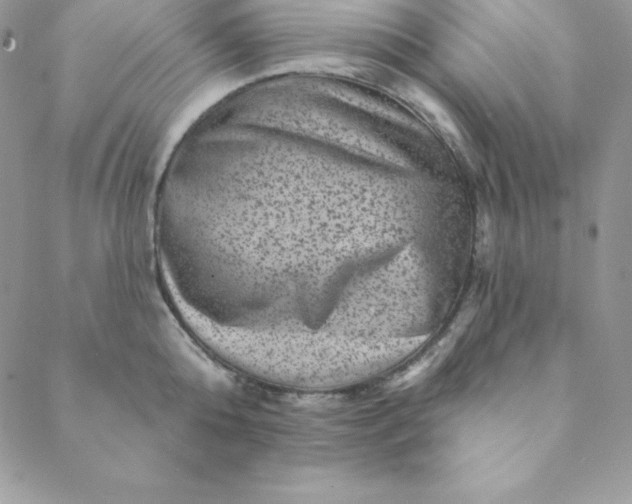 X0000088730808200706141636