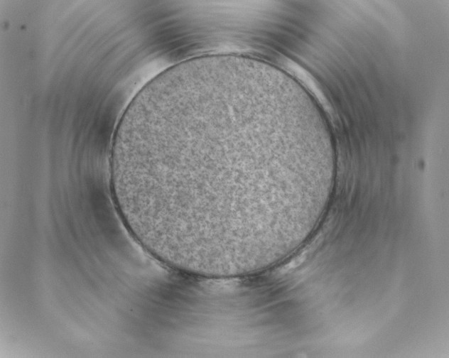 X0000088730810200706141636