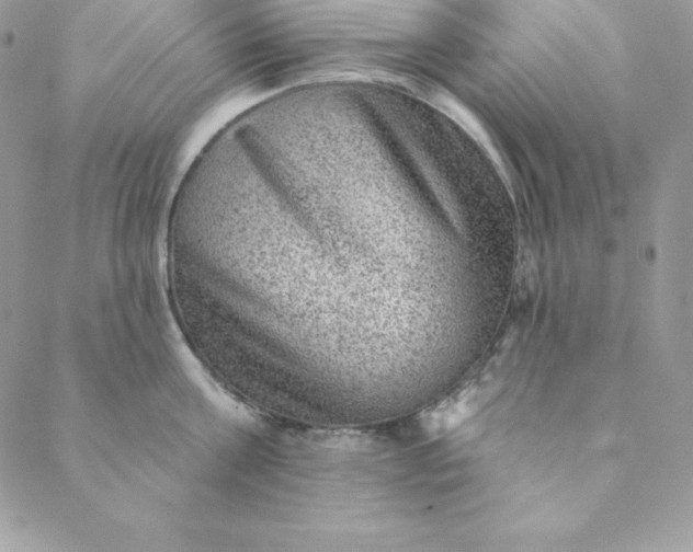 X0000088730811200706141636
