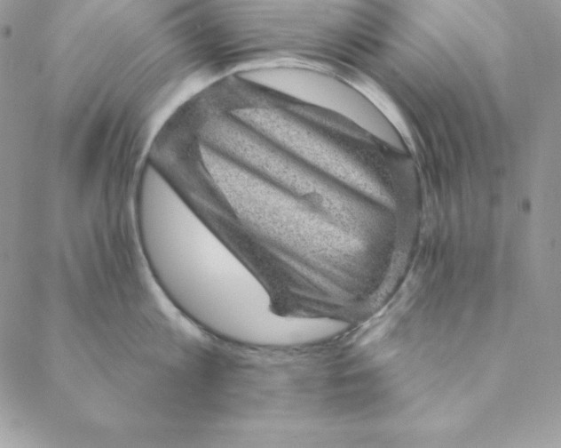X0000088730813200706141636