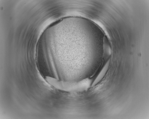 X0000088730815200706141636