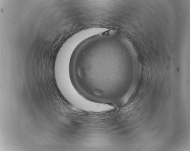 X0000088730818200706141636